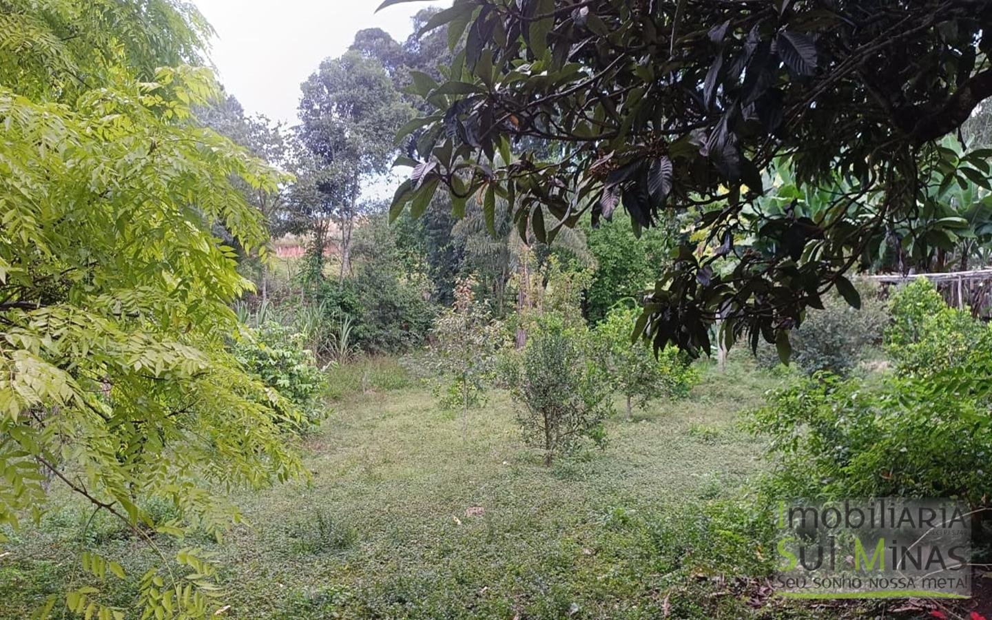 Sítio à Venda em Córrego do Bom Jesus MG Com Cachoeira na Divisa (49)