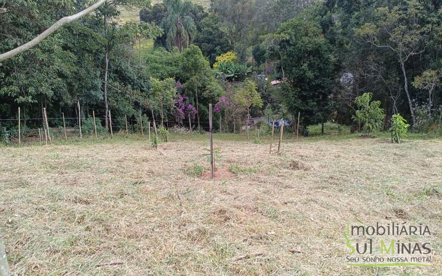 Sítio à Venda em Córrego do Bom Jesus MG Com Cachoeira na Divisa (5)