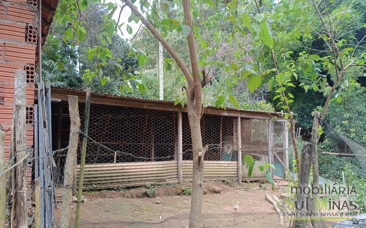 Sítio à Venda em Córrego do Bom Jesus MG Com Cachoeira na Divisa (52)