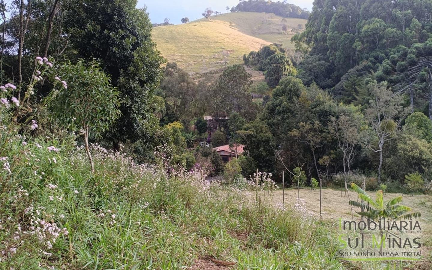 Sítio à Venda em Córrego do Bom Jesus MG Com Cachoeira na Divisa (7)