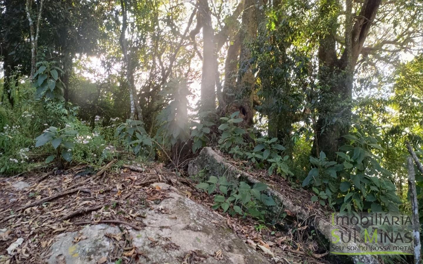 Sítio à Venda em Córrego do Bom Jesus MG Com Cachoeira na Divisa (8)