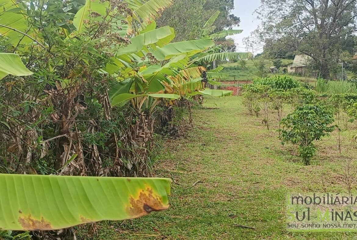Sítio com 40.000m² e plantação de café orgânico cod2109 (1)