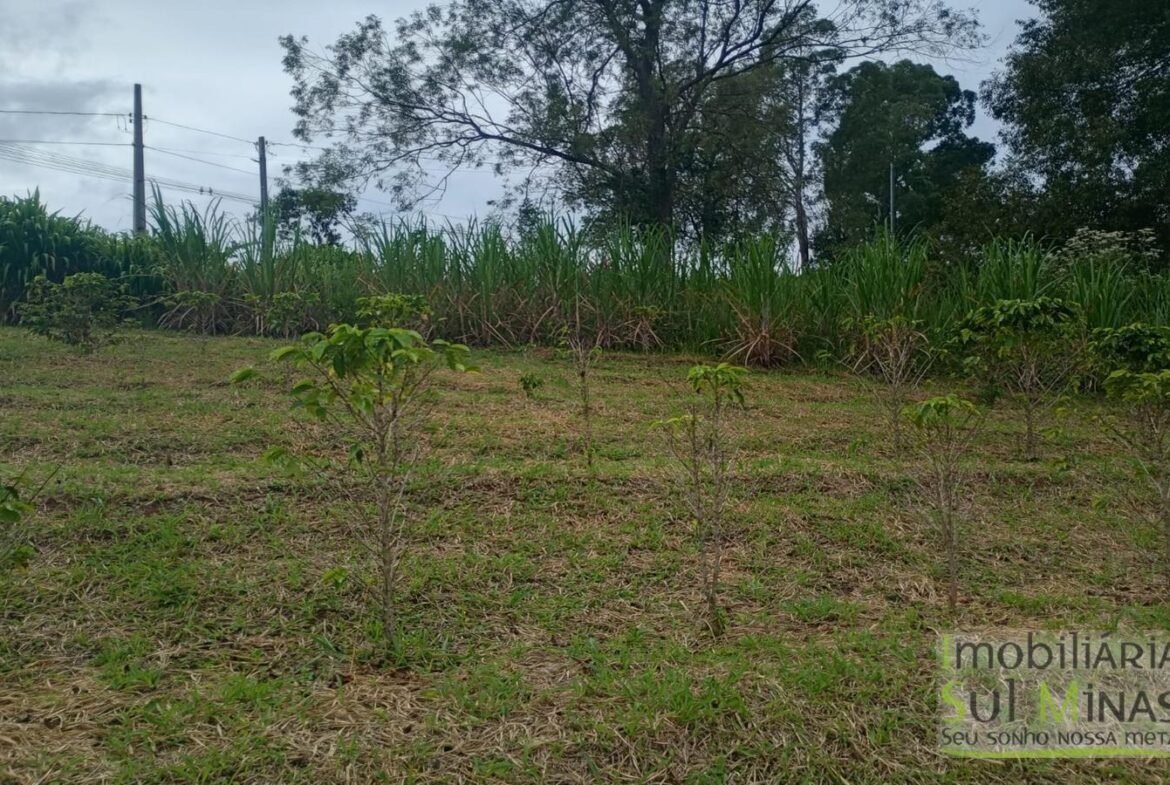 Sítio com 40.000m² e plantação de café orgânico cod2109 (10)
