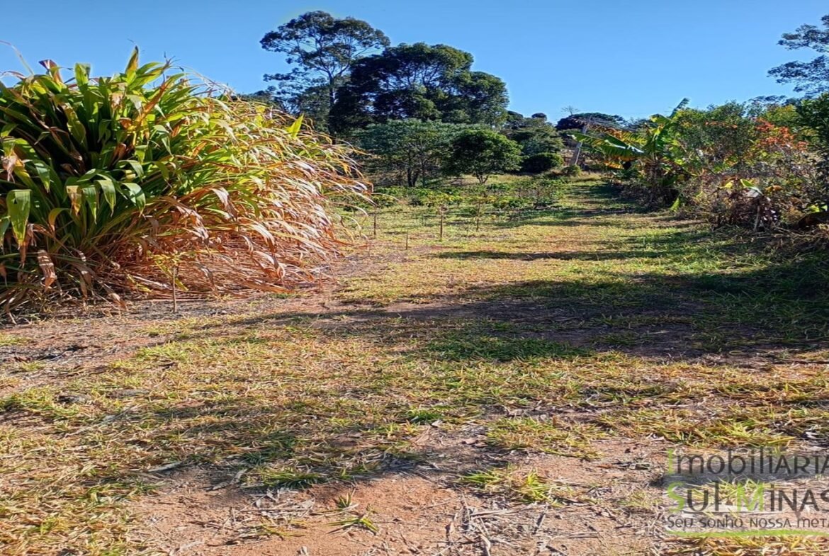 Sítio com 40.000m² e plantação de café orgânico cod2109 (11)