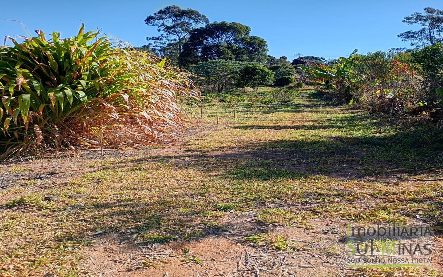 Sítio com 40.000m² e plantação de café orgânico cod2109 (11)