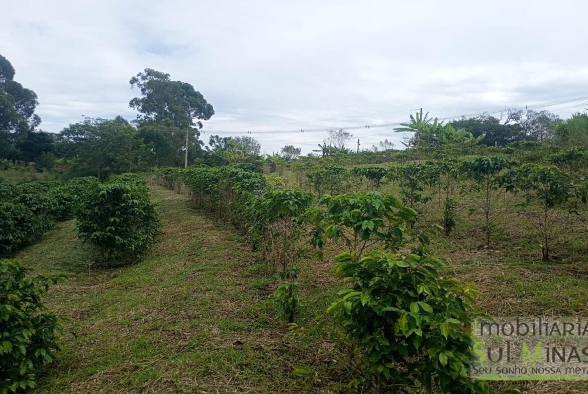 Sítio com 40.000m² e plantação de café orgânico cod2109 (5)