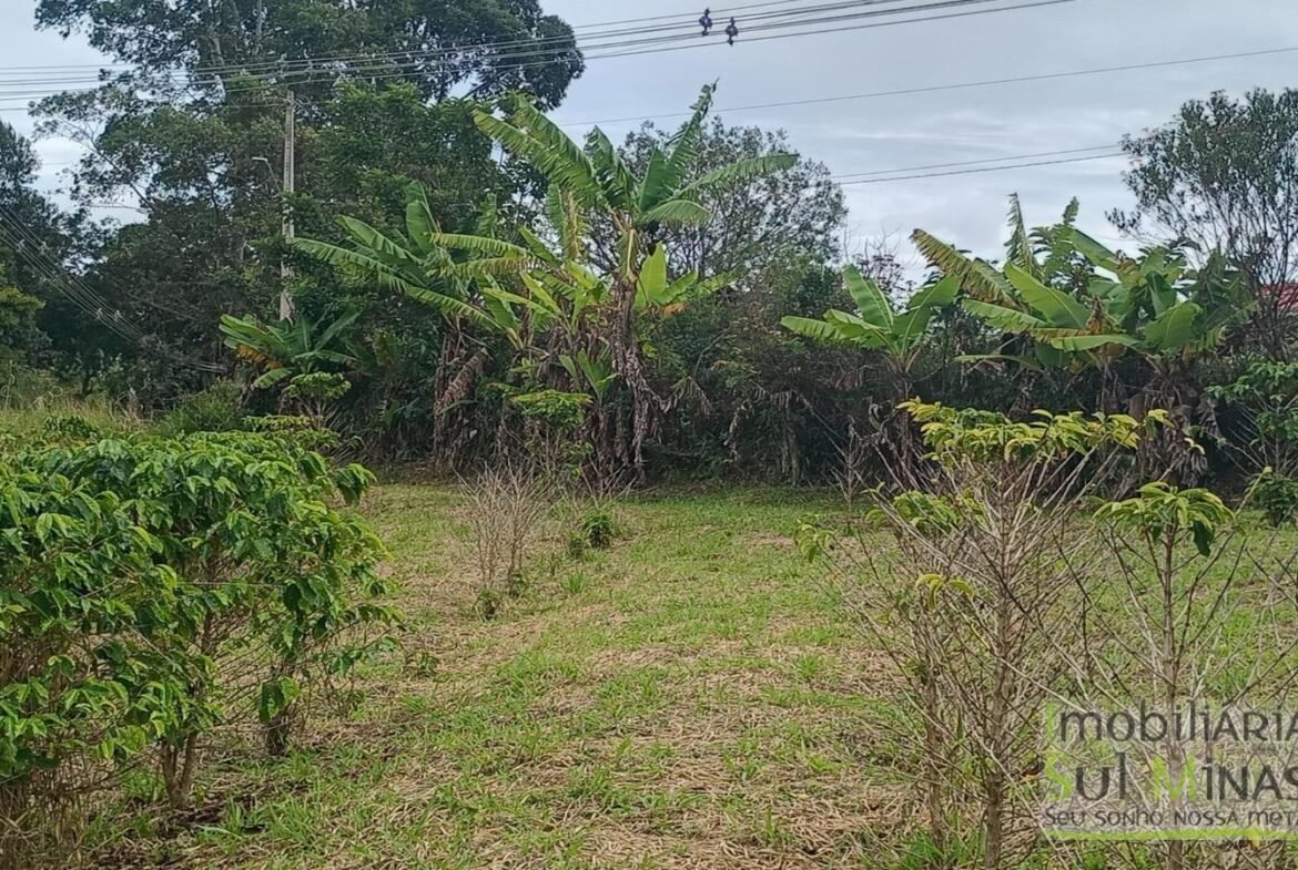 Sítio com 40.000m² e plantação de café orgânico cod2109 (9)