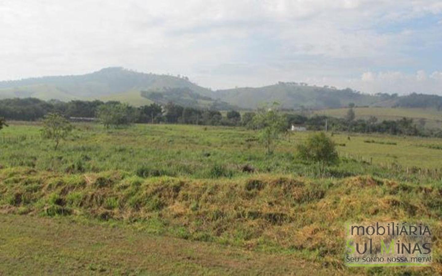 Área Industrial Plana com 30.000m² Cod 391 (1)