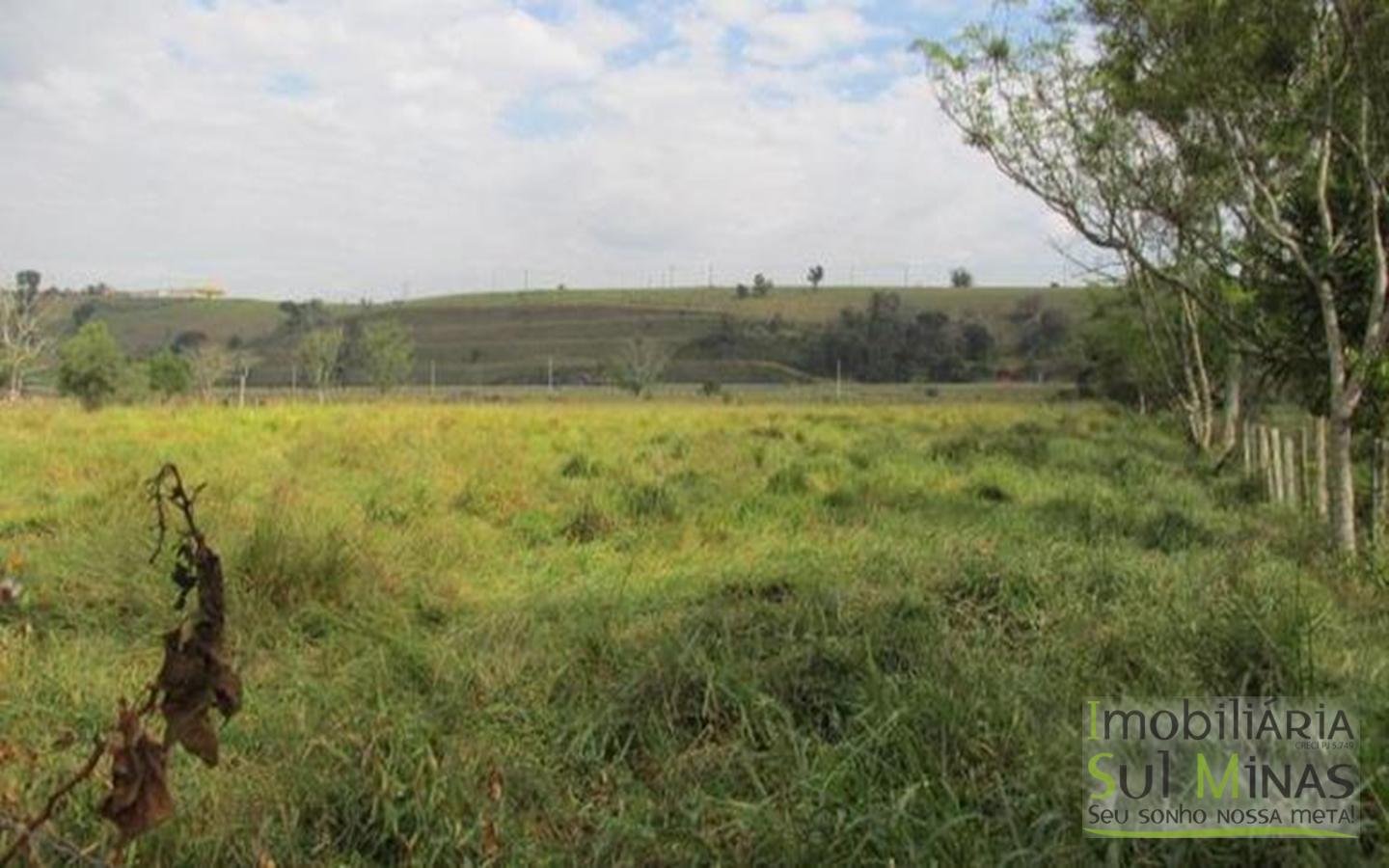 Área Industrial Plana com 30.000m² Cod 391 (10)