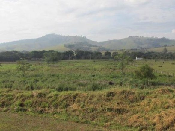 Área Industrial Plana com 30.000m² Cod 391 (13)