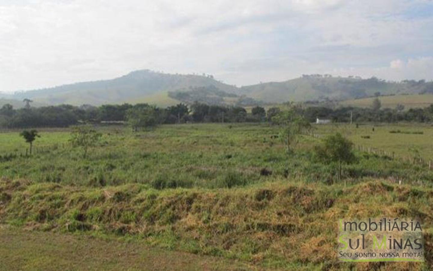 Área Industrial Plana com 30.000m² Cod 391 (13)