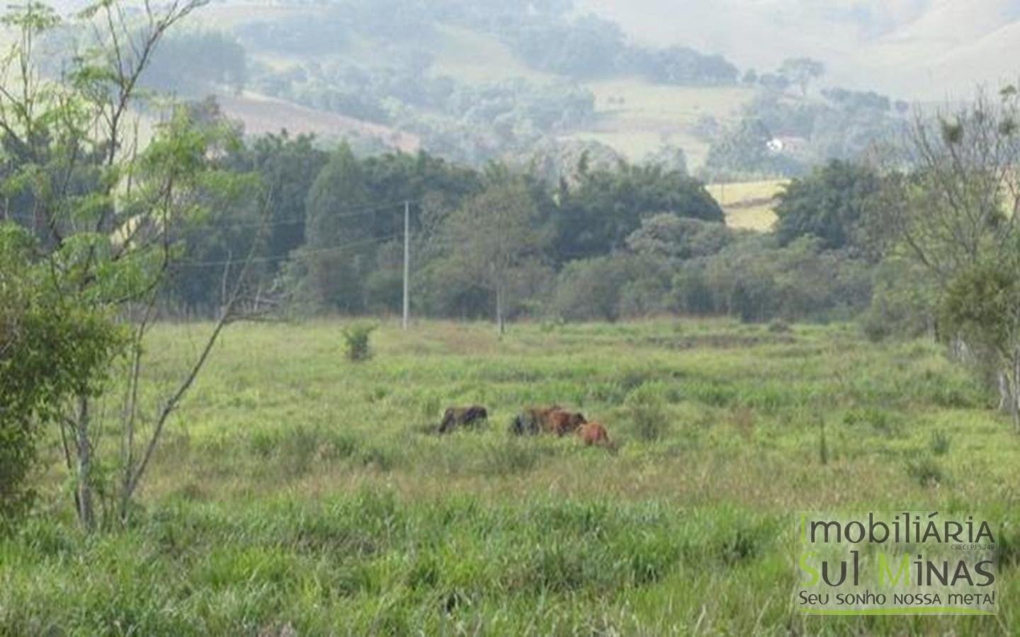 Área Industrial Plana com 30.000m² Cod 391 (5)