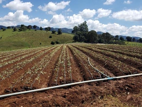 Área Industrial Sul de Minas com 193.600 m² Cod 1132 (1)