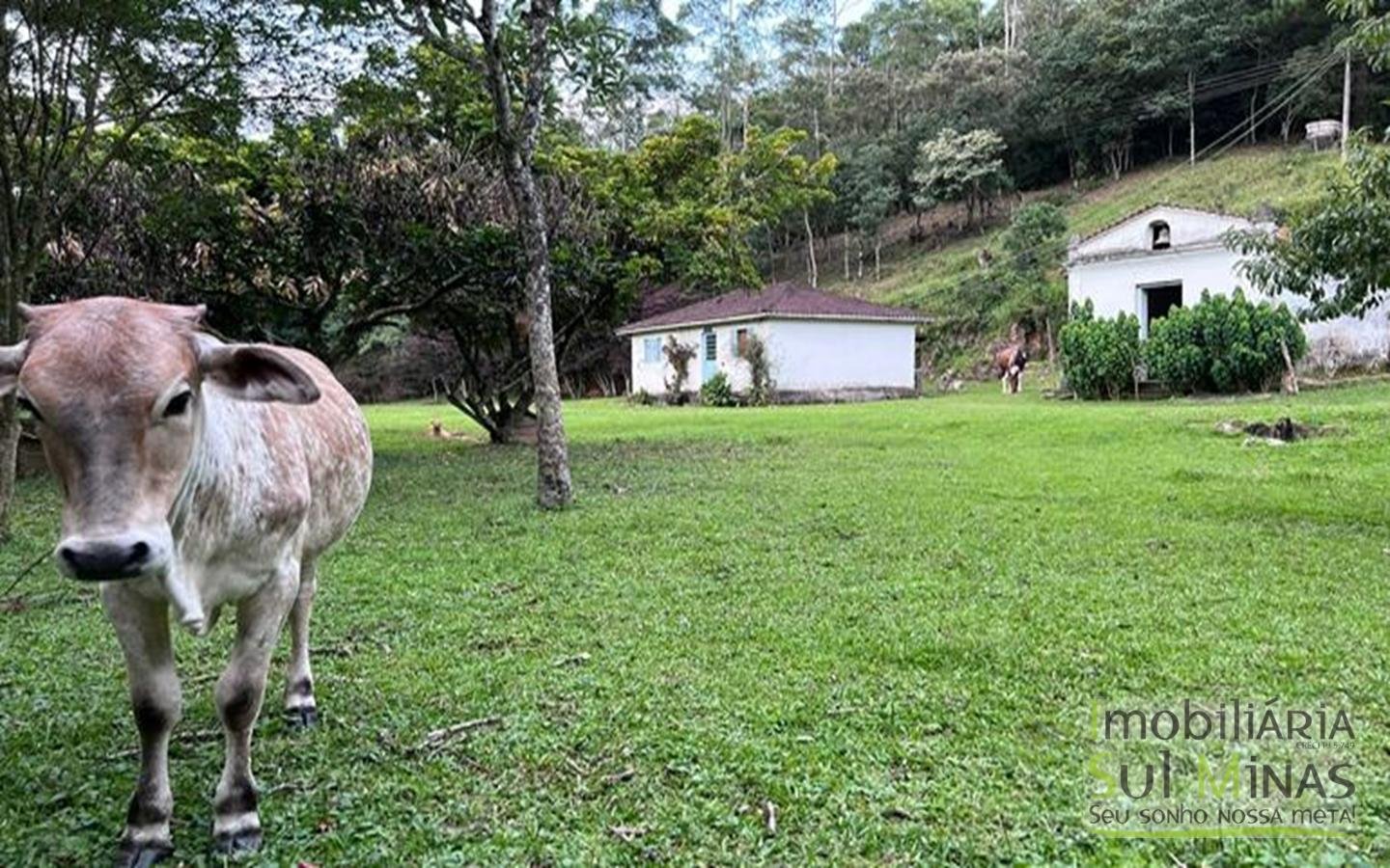 Área Industrial com 106.919 m2 em Camanducaia MG nas margens da rodovia Fernão Dias Cód (1)