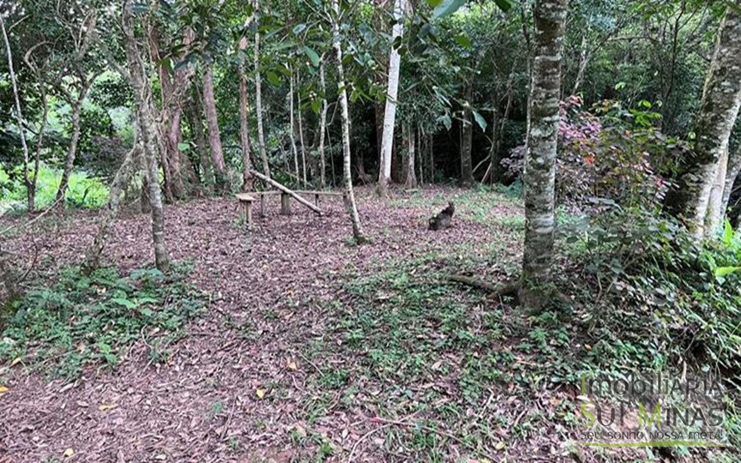 Área Industrial com 106.919 m2 em Camanducaia MG nas margens da rodovia Fernão Dias Cód (3)
