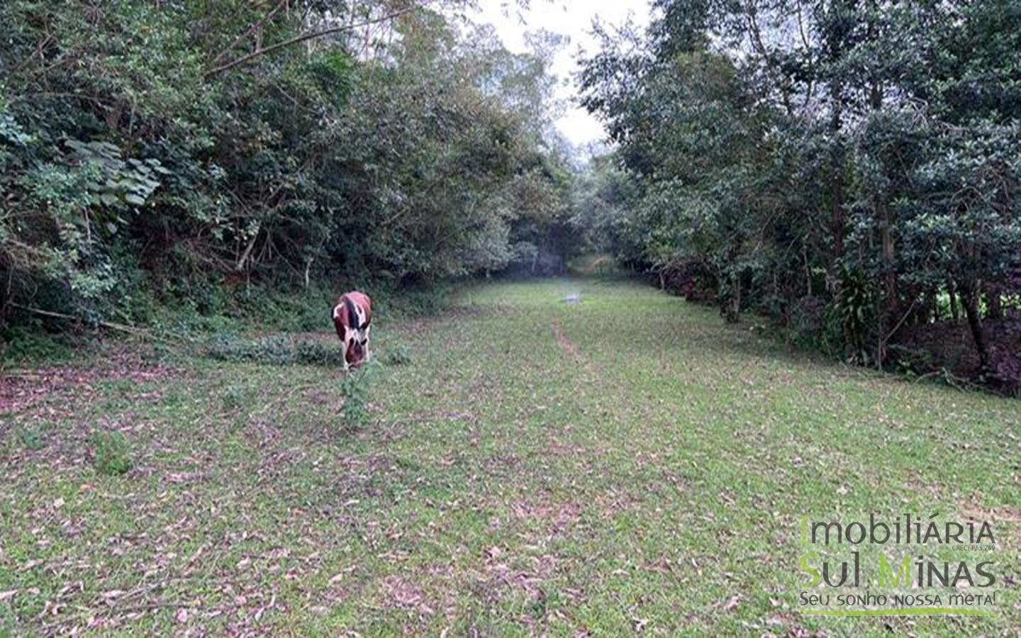 Área Industrial com 106.919 m2 em Camanducaia MG nas margens da rodovia Fernão Dias Cód (4)