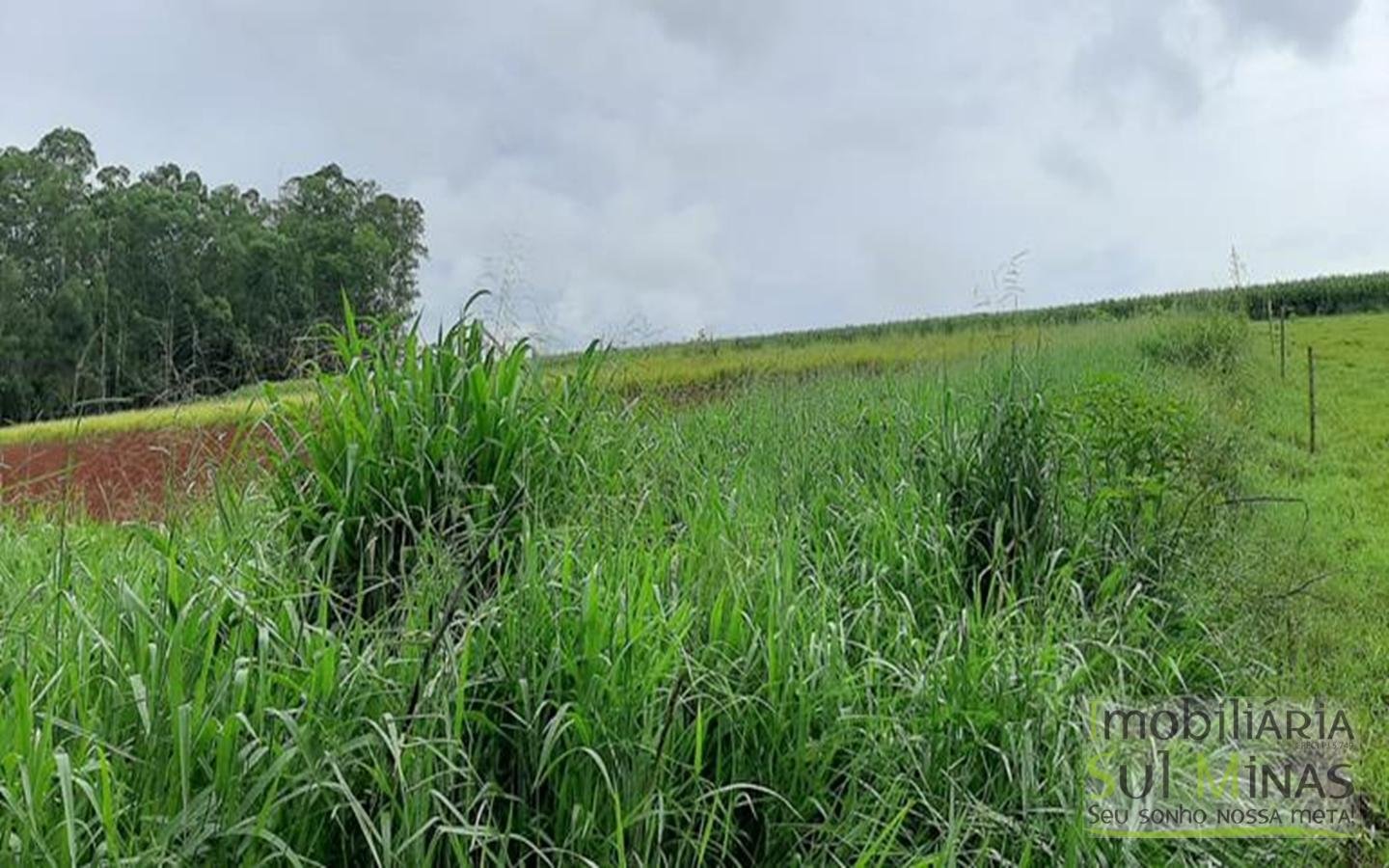 Área Industrial de 12.000 m² à Venda em Estiva MG Cód. 1413 (6)