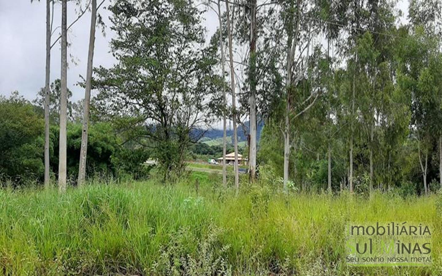 Área Industrial de 12.000 m² à Venda em Estiva MG Cód. 1413 (8)