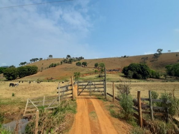 Área Industrial de 17,5 Alqueires em Cambuí MG Cod. 1352 (4)
