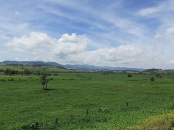 Área Industrial em Cambuí MG 50 Alqueires Cod 725 (1)
