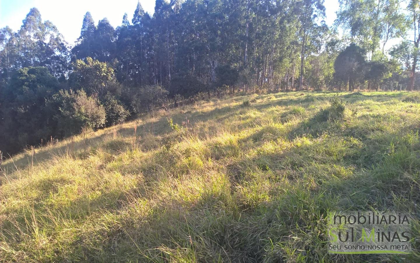 Área Industrial em Cambuí MG nas Margens da Fernão Dias Cod 1029 (11)