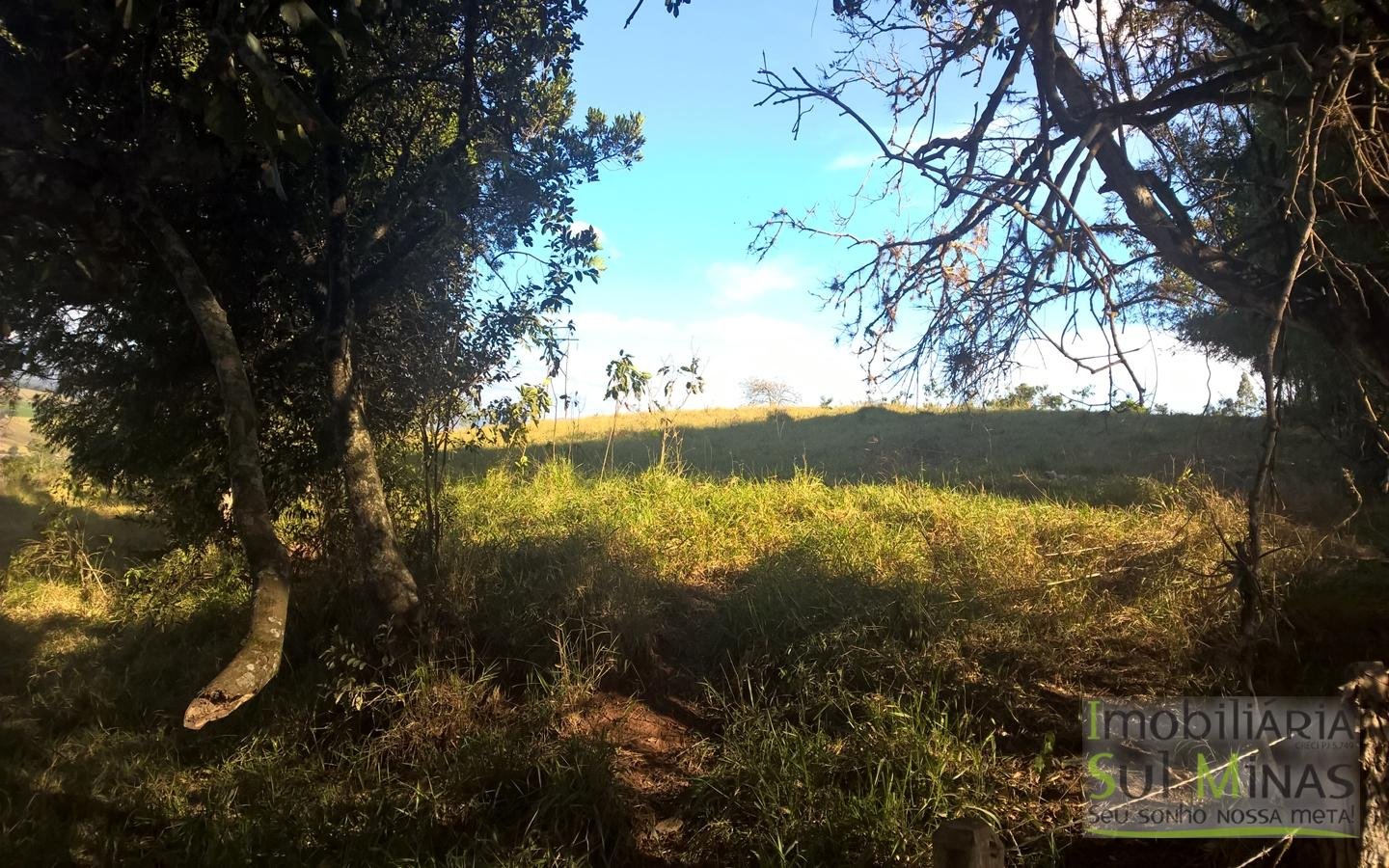 Área Industrial em Cambuí MG nas Margens da Fernão Dias Cod 1029 (4)