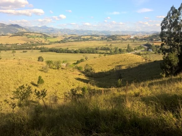Área Industrial em Cambuí MG nas Margens da Fernão Dias Cod 1029 (9)