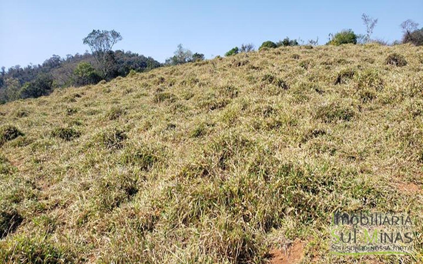 Área industrial a venda em Cambuí com 20.000 m² Cod 1278 (4)