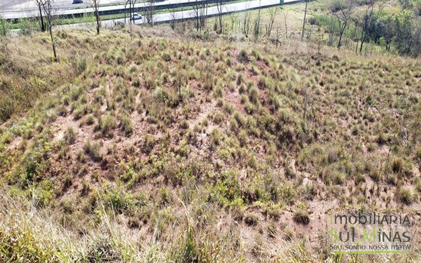 Área industrial a venda em Cambuí com 20.000 m² Cod 1278 (7)