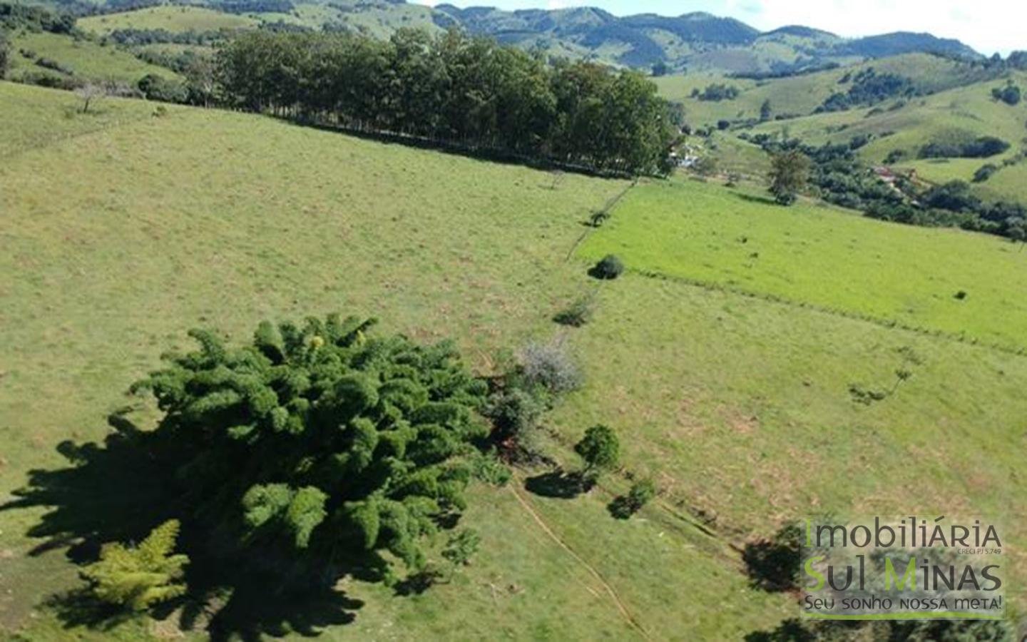 Área o industrial em Cambuí MG  no Sul de Minas com Ótima Topografia Cód. 1651 (4)