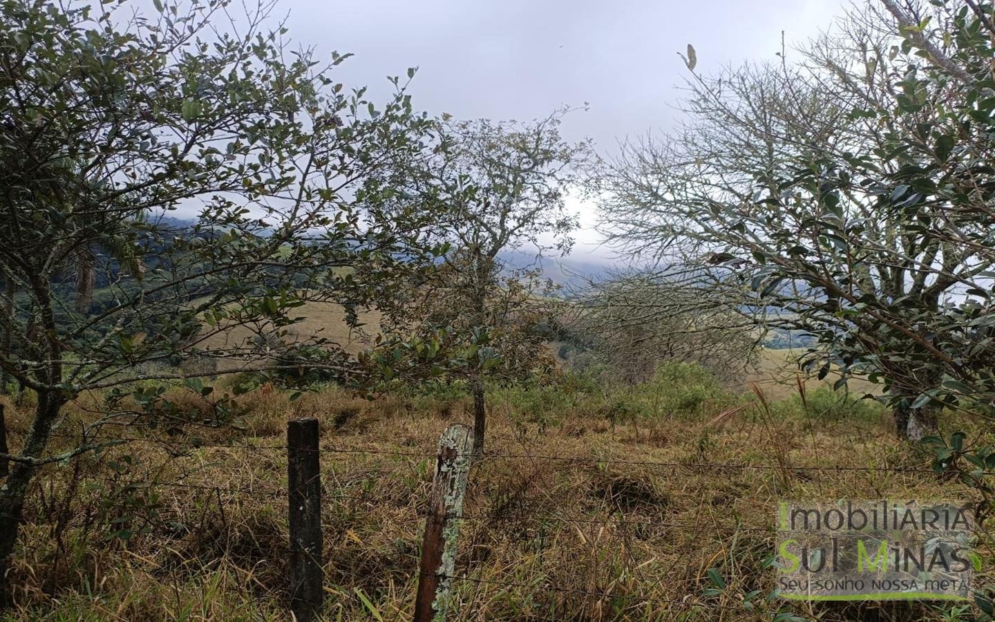 Chácara Com 9.000m² Escriturada À Venda em Cambuí MG COD2355 (3)