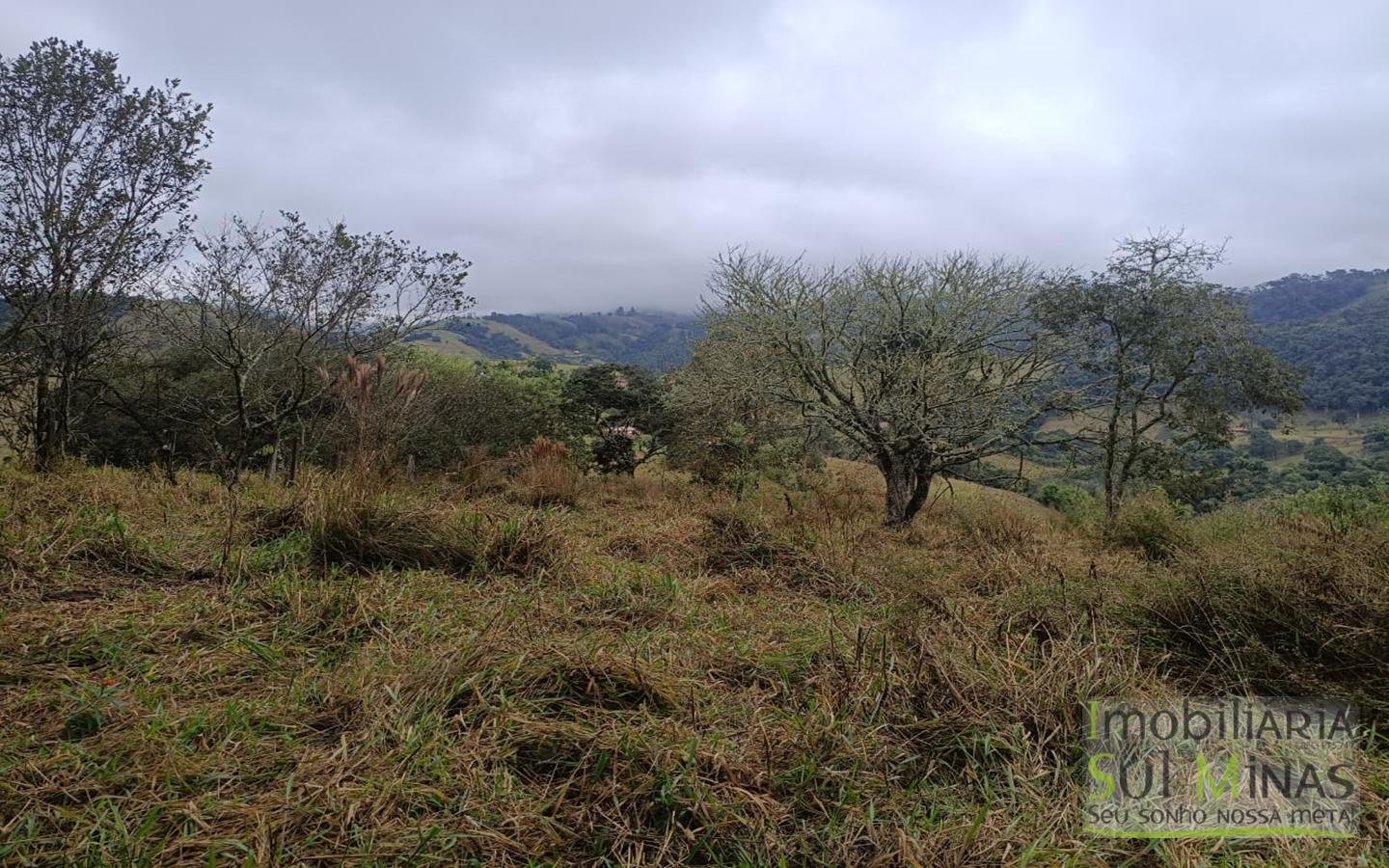 Chácara Com 9.000m² Escriturada À Venda em Cambuí MG COD2355 (4)