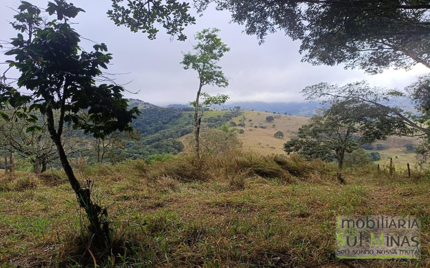 Chácara Com 9.000m² Escriturada À Venda em Cambuí MG COD2355 (5)