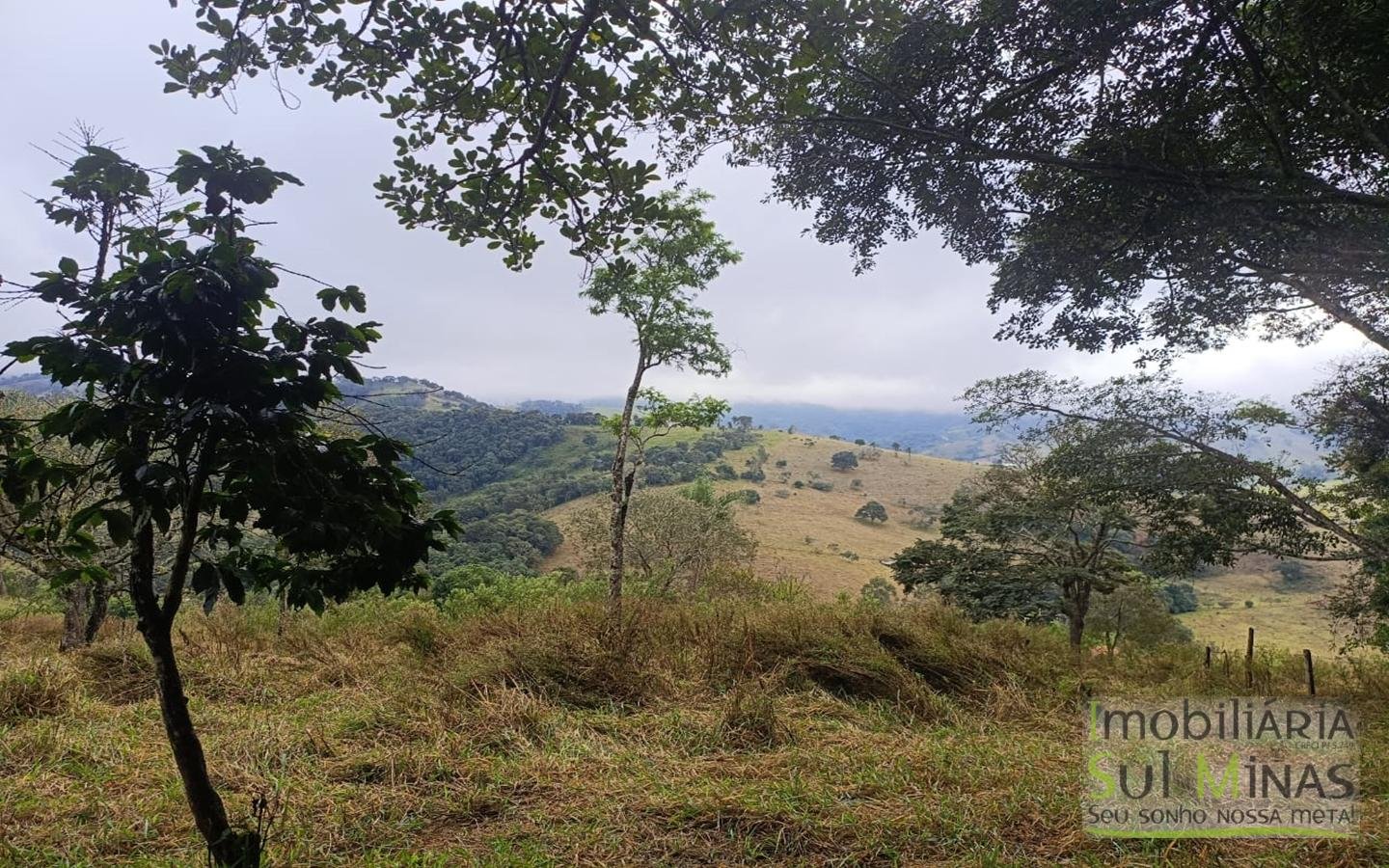 Chácara Com 9.000m² Escriturada À Venda em Cambuí MG COD2355 (6)