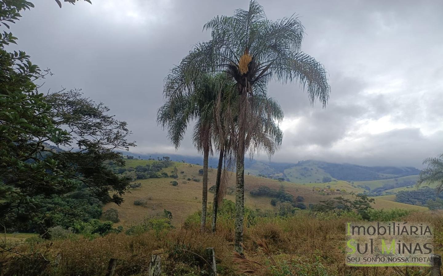 Chácara Com 9.000m² Escriturada À Venda em Cambuí MG COD2355 (7)
