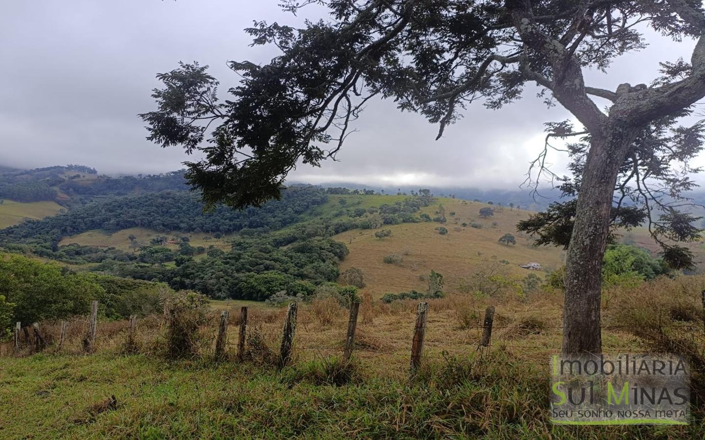 Chácara Com 9.000m² Escriturada À Venda em Cambuí MG COD2355 (8)