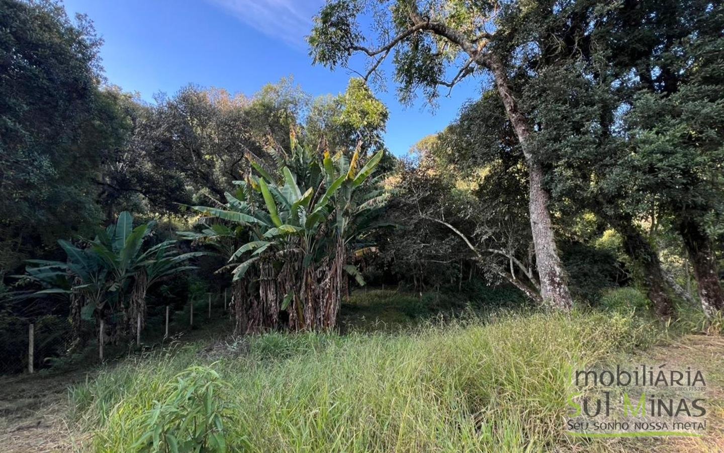 Chácara de 10.027m ² À Venda em Camanducaia apenas 3km da Fernão Dias cod2477 (11)