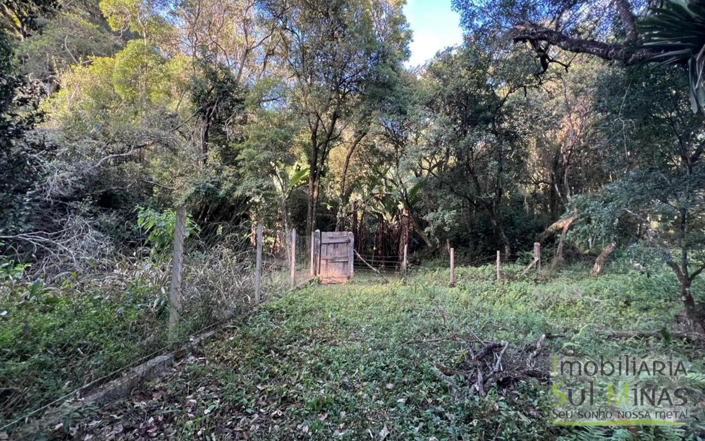 Chácara de 10.027m ² À Venda em Camanducaia apenas 3km da Fernão Dias cod2477 (12)
