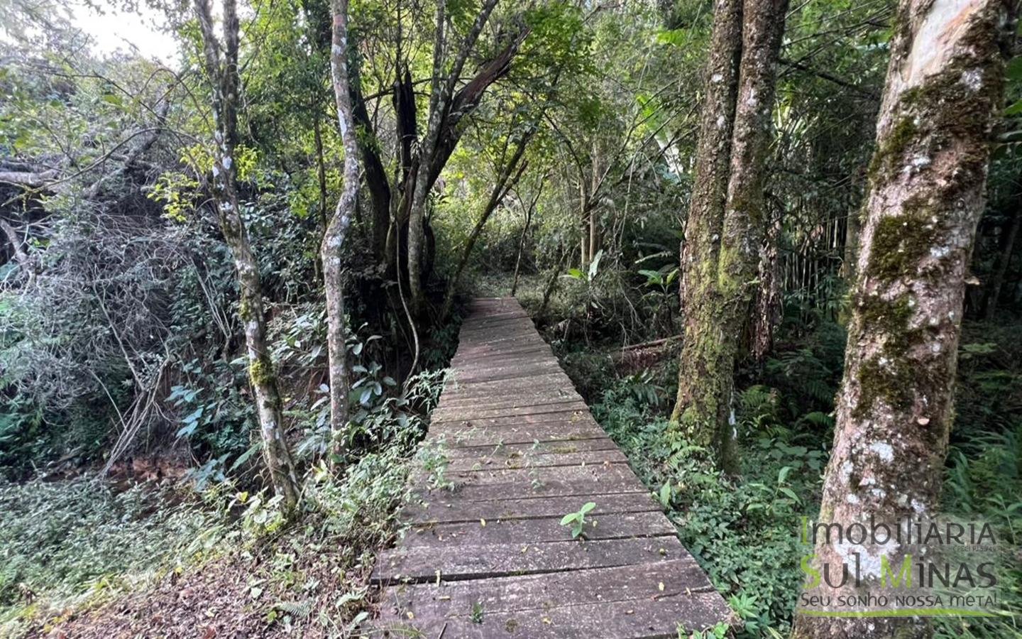 Chácara de 10.027m ² À Venda em Camanducaia apenas 3km da Fernão Dias cod2477 (14)