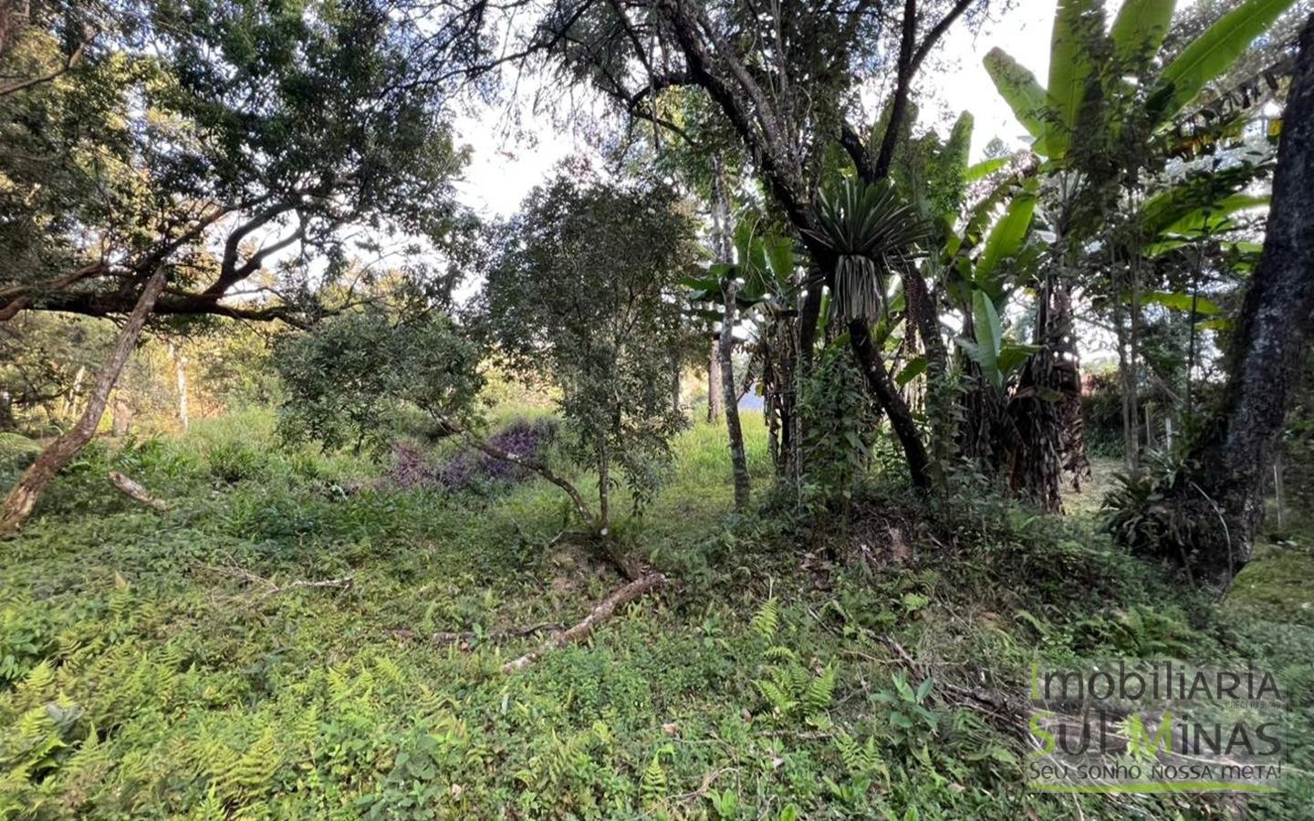 Chácara de 10.027m ² À Venda em Camanducaia apenas 3km da Fernão Dias cod2477 (15)