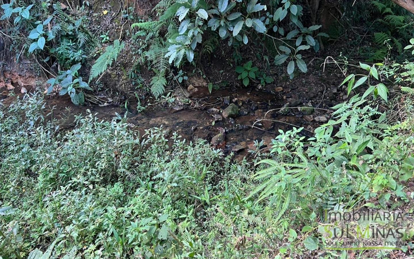 Chácara de 10.027m ² À Venda em Camanducaia apenas 3km da Fernão Dias cod2477 (16)
