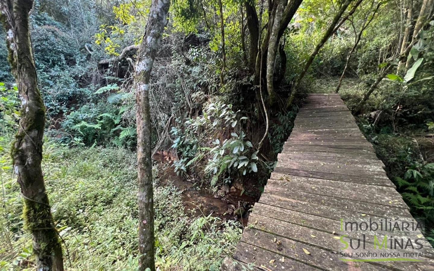Chácara de 10.027m ² À Venda em Camanducaia apenas 3km da Fernão Dias cod2477 (17)