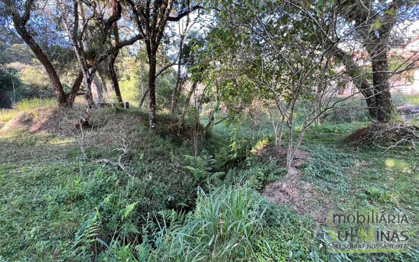 Chácara de 10.027m ² À Venda em Camanducaia apenas 3km da Fernão Dias cod2477 (8)