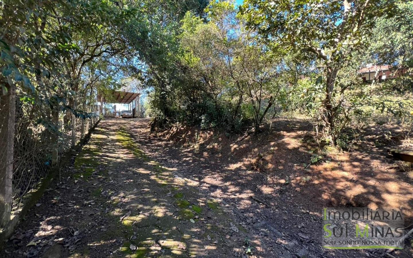 Chácara de 5000m ² a poucos metros da Fernão Dias À Venda em Cambuí MG cod2490 (14)