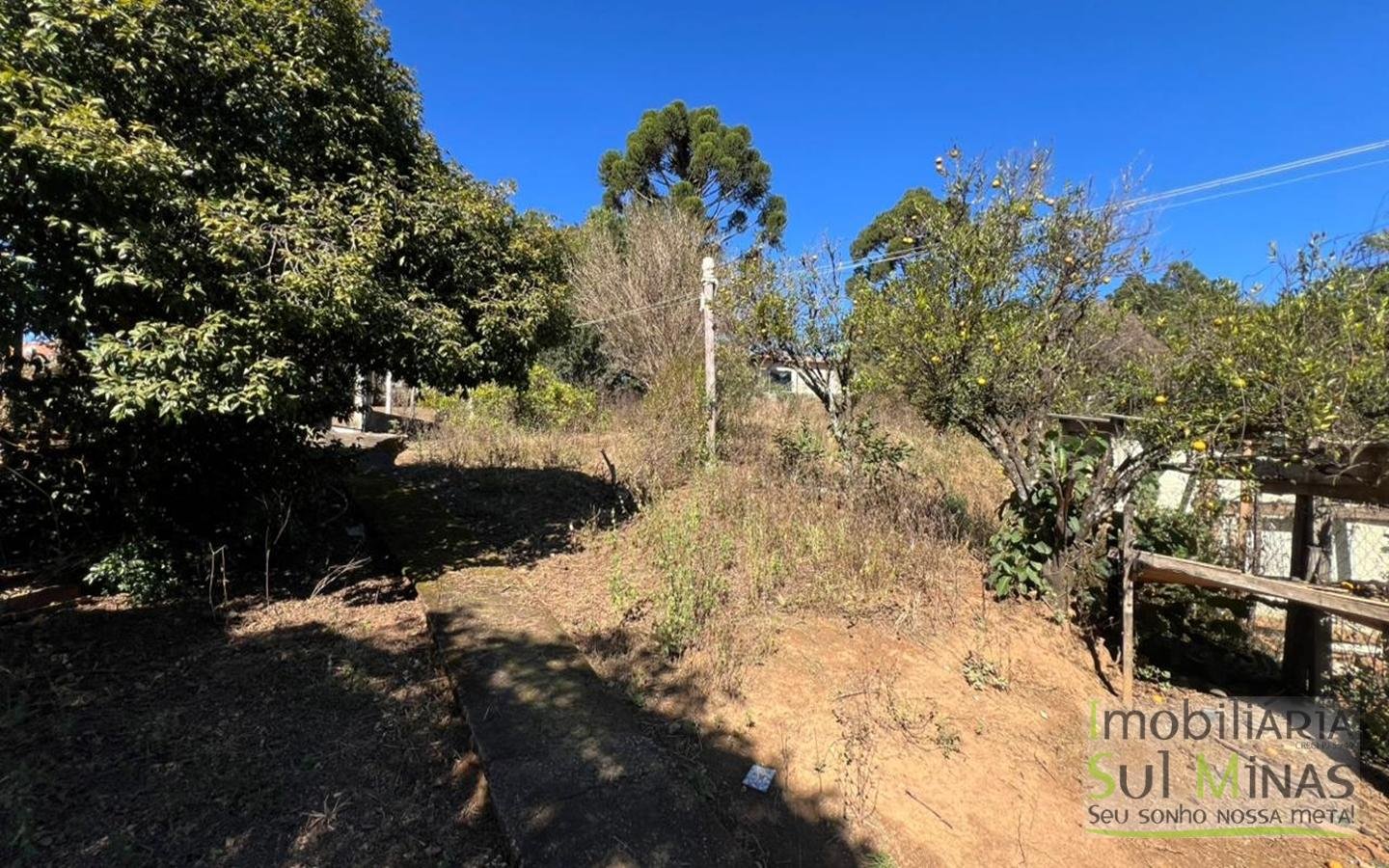 Chácara de 5000m ² a poucos metros da Fernão Dias À Venda em Cambuí MG cod2490 (18)