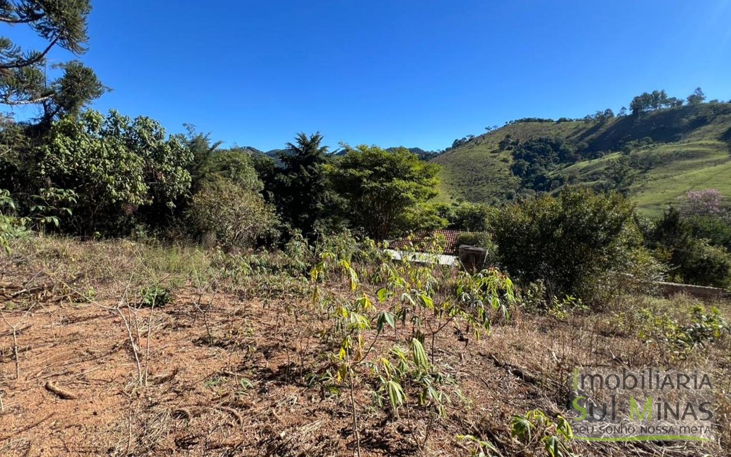 Chácara de 5000m ² a poucos metros da Fernão Dias À Venda em Cambuí MG cod2490 (23)