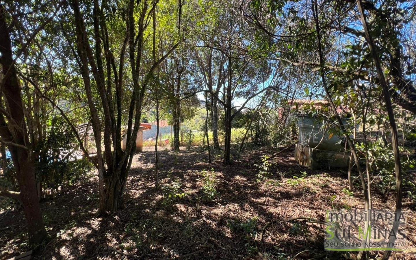 Chácara de 5000m ² a poucos metros da Fernão Dias À Venda em Cambuí MG cod2490 (24)