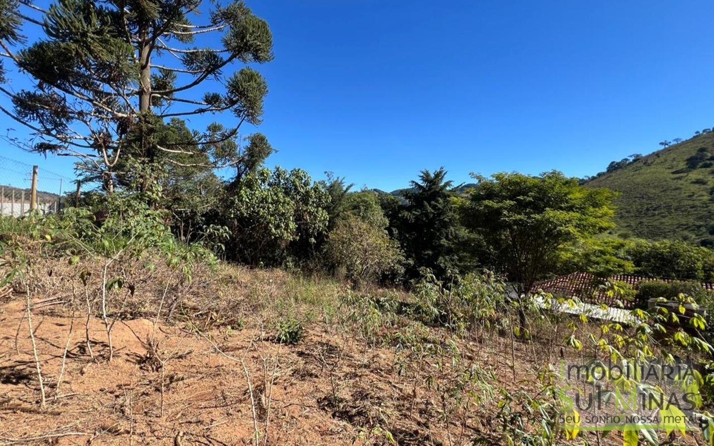 Chácara de 5000m ² a poucos metros da Fernão Dias À Venda em Cambuí MG cod2490 (25)