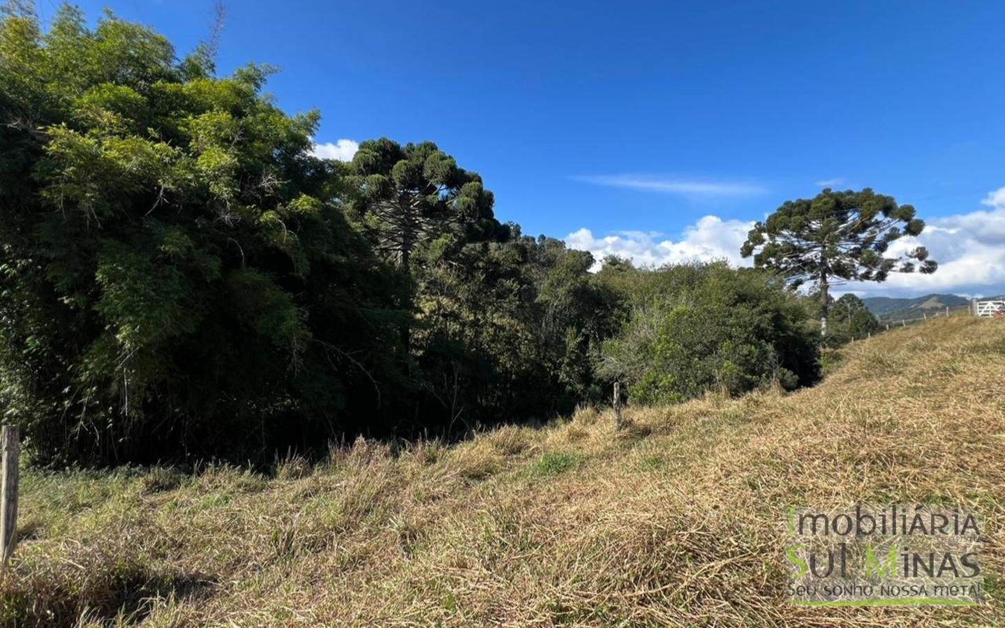 Sítio à Venda em CamanducaiaMG – 107.000 m² cod2476 (11)