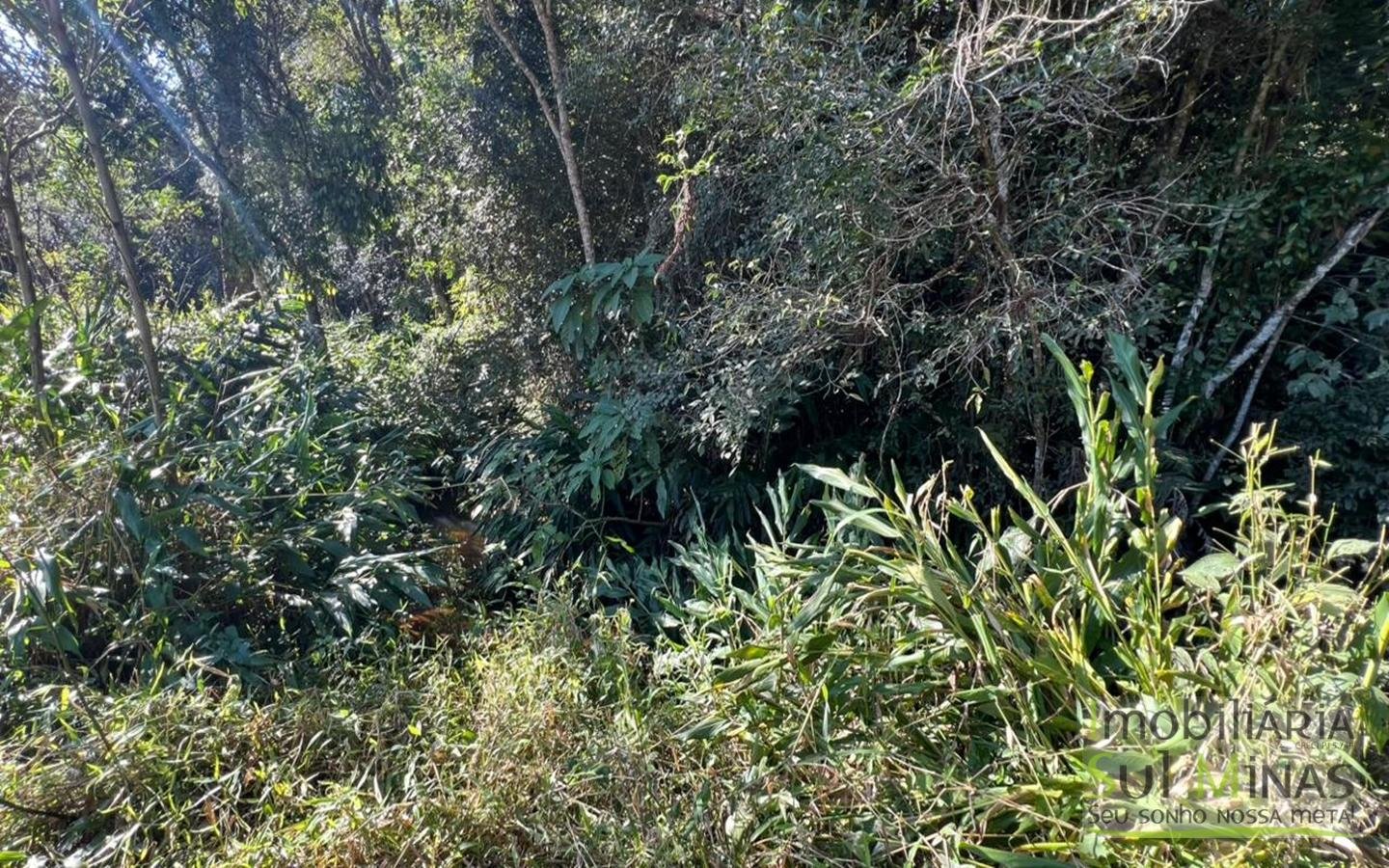 Sítio à Venda em CamanducaiaMG – 107.000 m² cod2476 (13)
